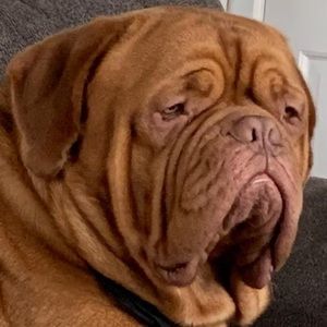 Meet your Posher, Brixx